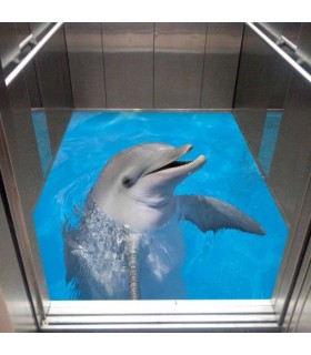کفپوش سه بعدی آسانسور طرح دلفین